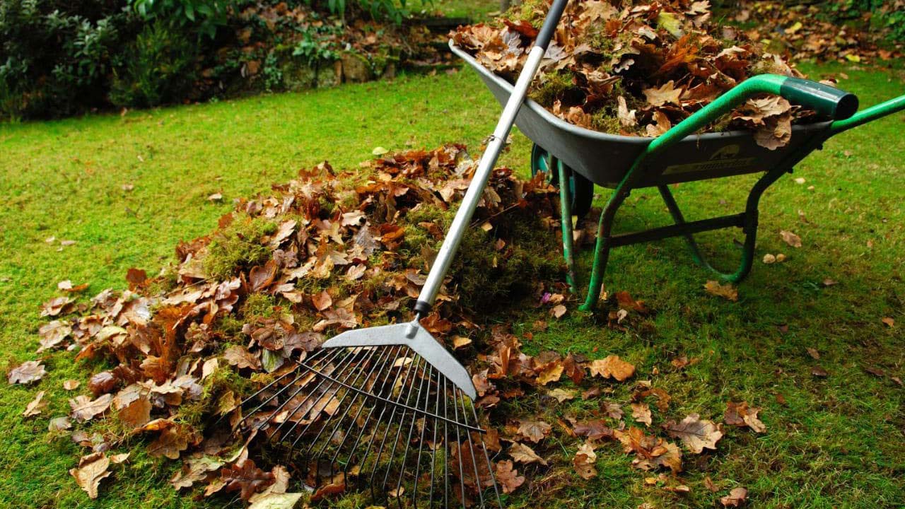 Garden Clean Up Melbourne